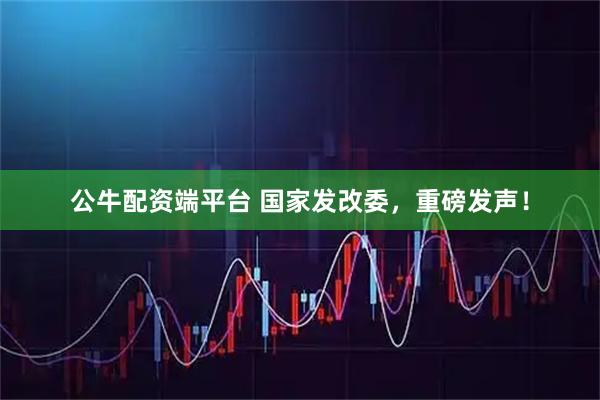 公牛配资端平台 国家发改委，重磅发声！
