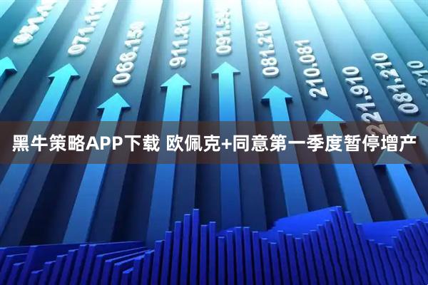 黑牛策略APP下载 欧佩克+同意第一季度暂停增产