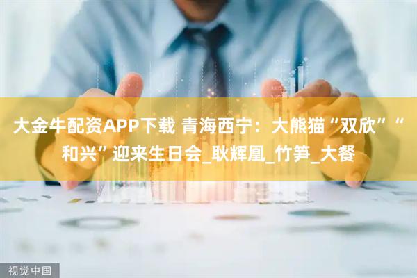 大金牛配资APP下载 青海西宁：大熊猫“双欣”“和兴”迎来生日会_耿辉凰_竹笋_大餐
