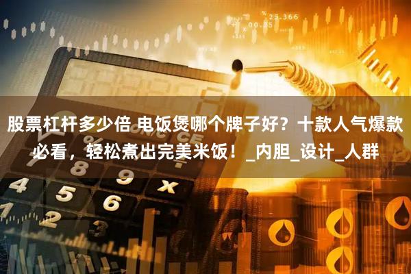 股票杠杆多少倍 电饭煲哪个牌子好？十款人气爆款必看，轻松煮出完美米饭！_内胆_设计_人群